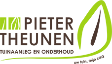 Pieter Theunen 